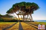 Paraiso 07