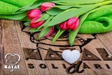Tulipas01